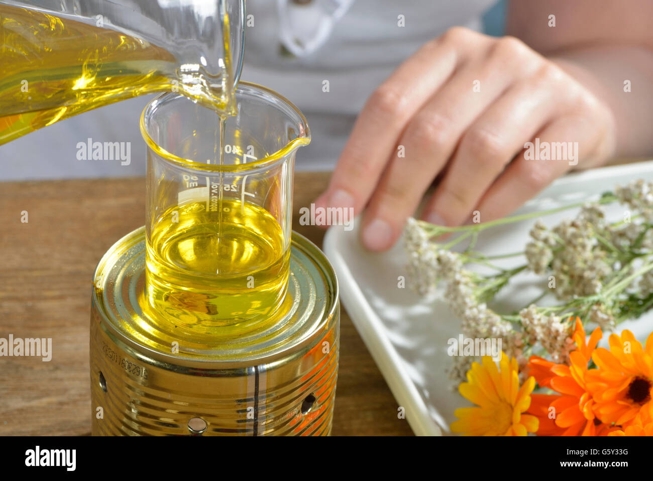 Produzione yarrow e la Pomata alla Calendula / (Calendula officinalis), Achillea millefolium) Foto Stock