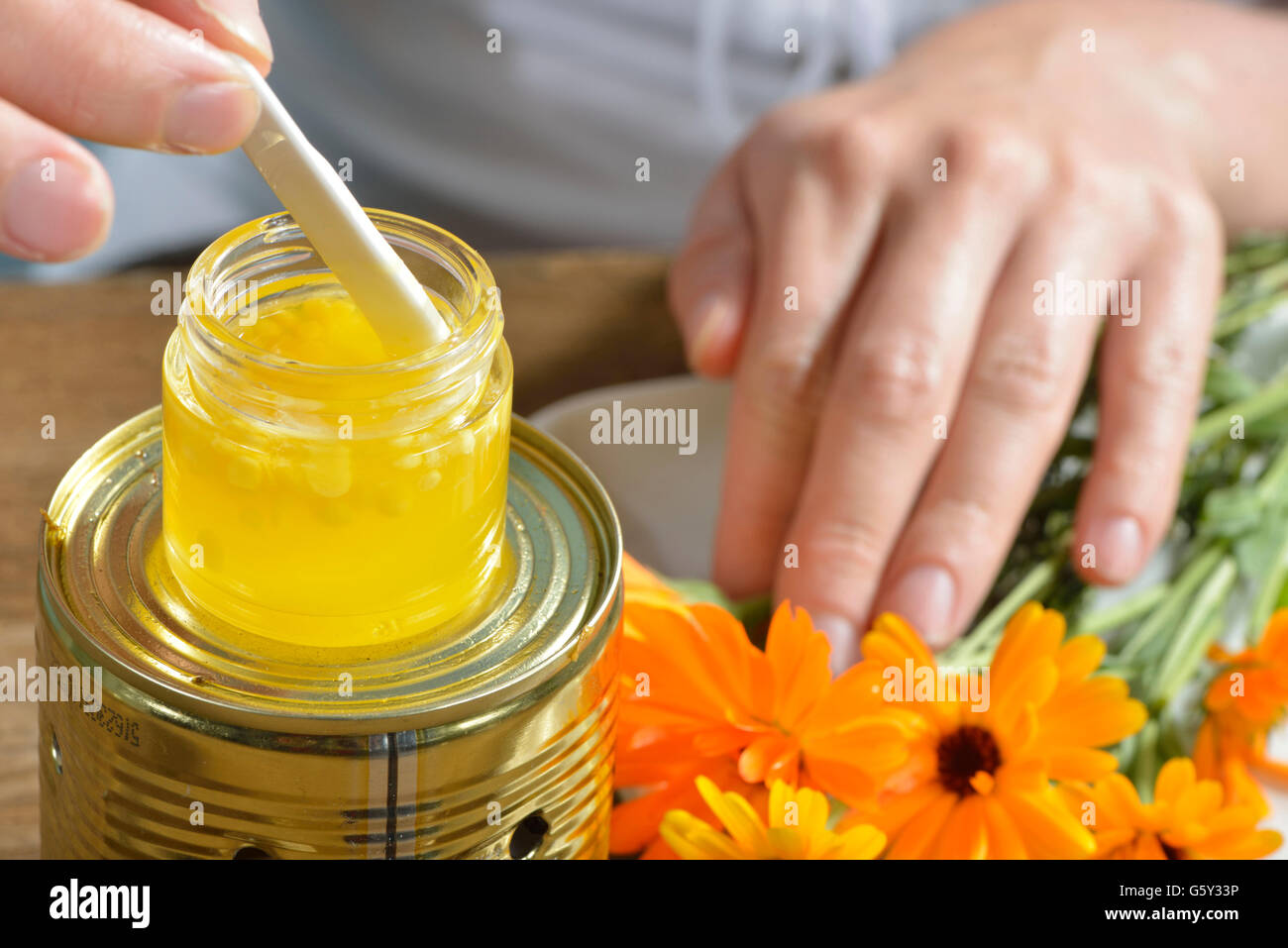 Produzione yarrow e la Pomata alla Calendula / (Calendula officinalis), Achillea millefolium) Foto Stock