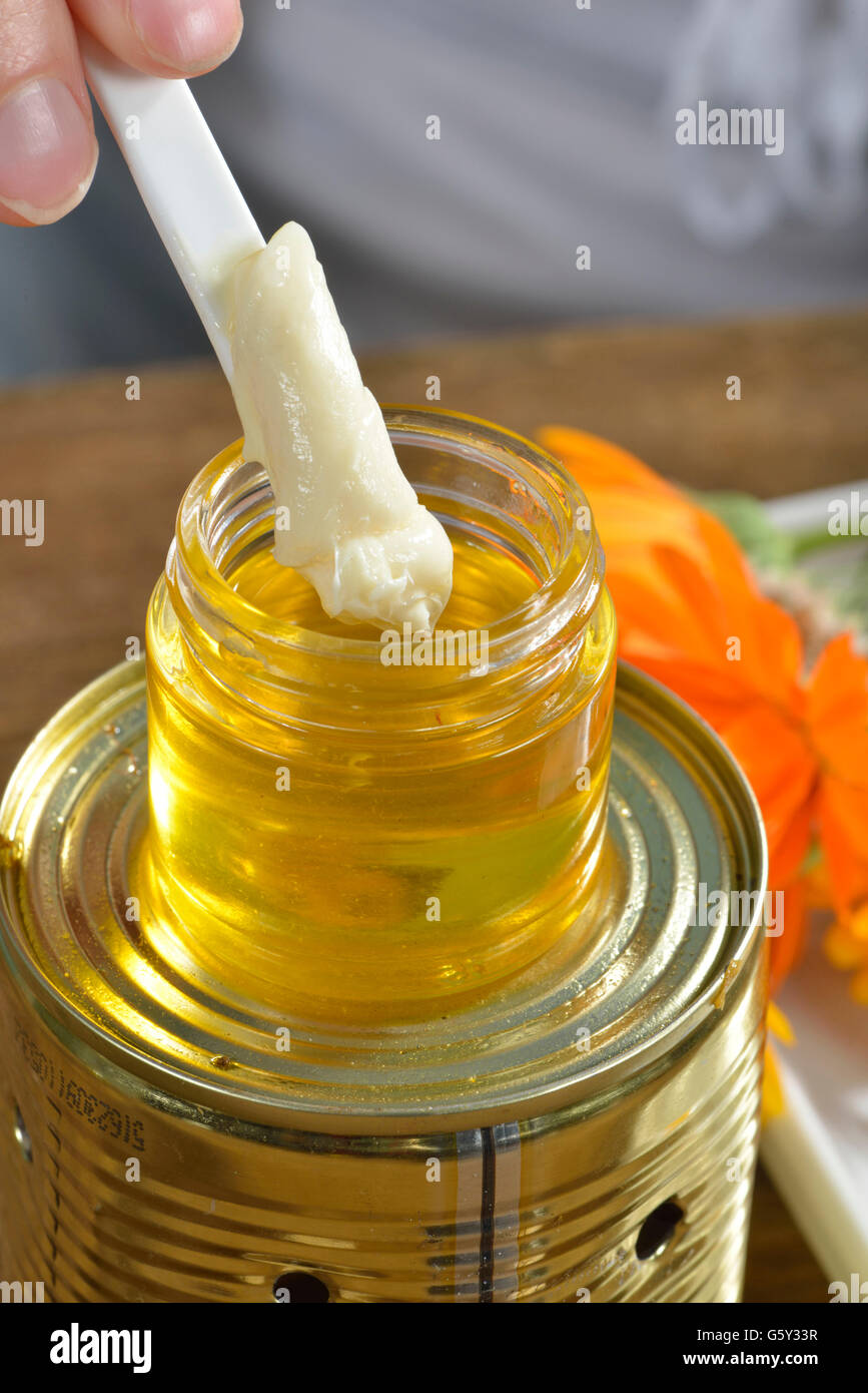 Produzione yarrow e la Pomata alla Calendula / (Calendula officinalis), Achillea millefolium) Foto Stock