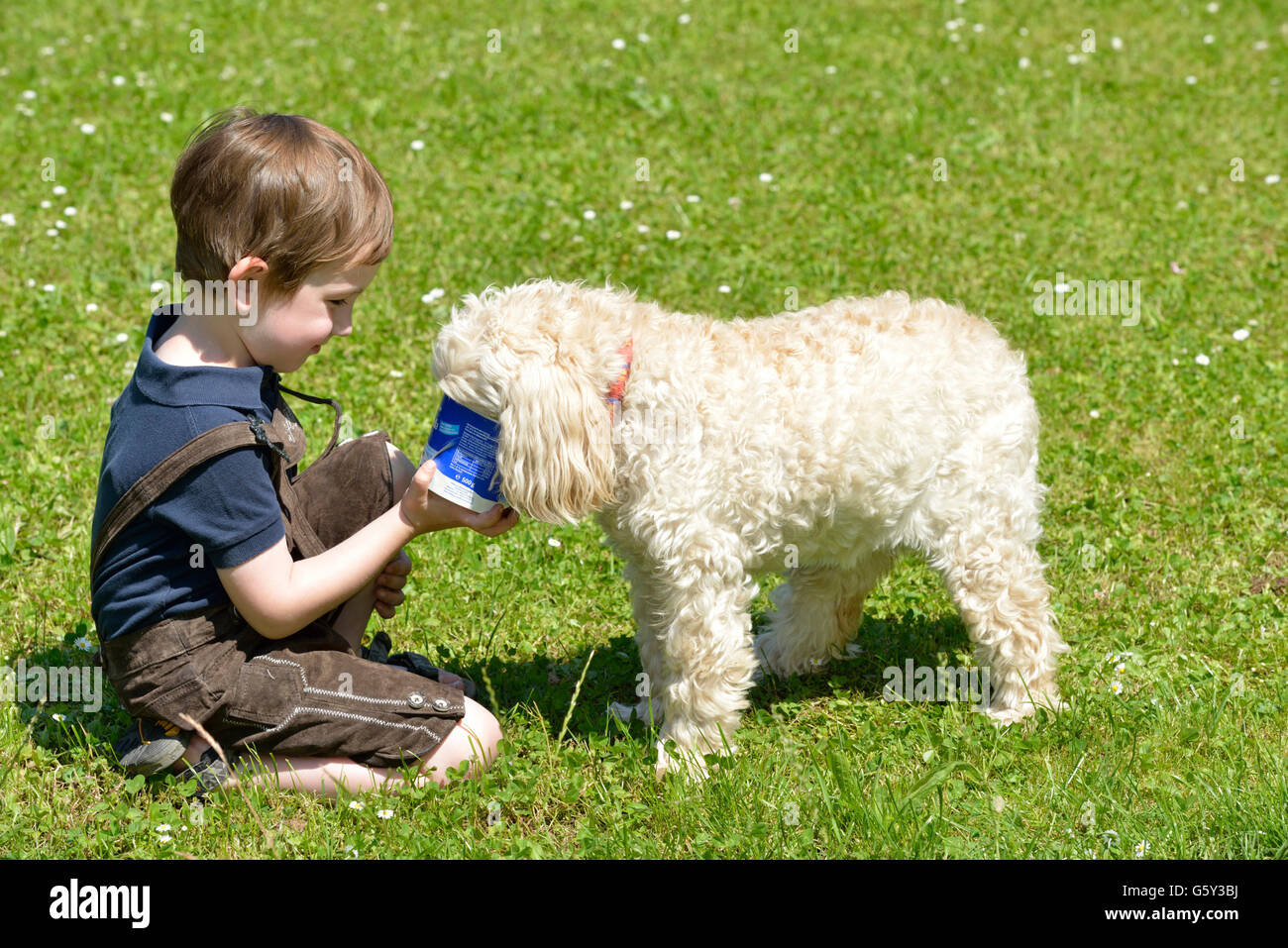 Ragazzo e razza cane Foto Stock