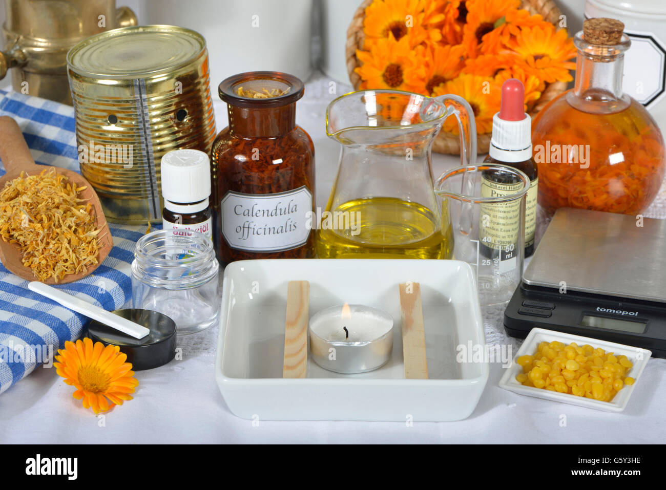 Produzione di unguento alla calendula / (Calendula officinalis) Foto Stock