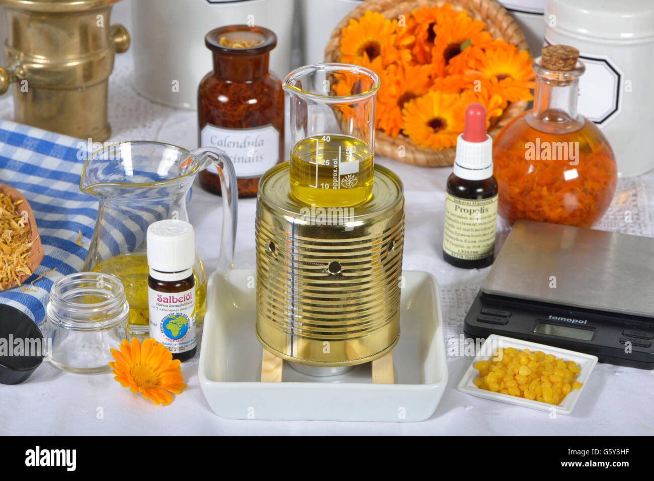 Produzione di unguento alla calendula / (Calendula officinalis) Foto Stock