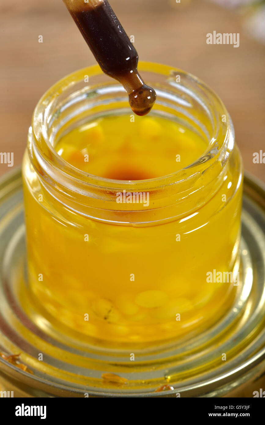 Yarrow unguento, achillea fiori, calendula / (Achillea millefolium, millefolii flos), (Calendula officinalis) / propoli Foto Stock