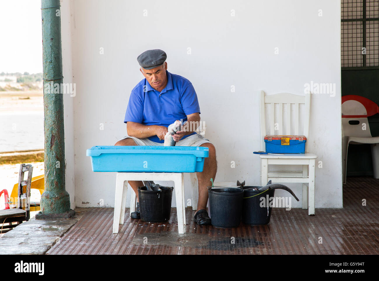 Pescatore locale pulizia del pesce sulla banchina nel piccolo villaggio di pescatori di Alvor, nella regione di Algarve Portogallo Foto Stock
