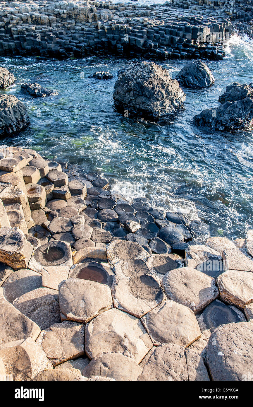 Giants Causeway. Geologiche uniche formazioni esagonali di basalto vulcanico rocce sulla costa in Irlanda del Nord, Regno Unito Foto Stock