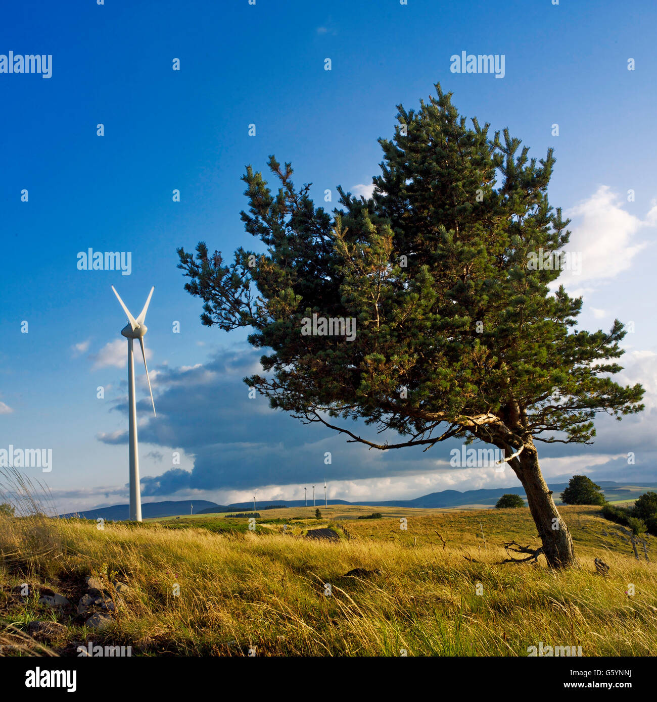 Struttura spazzate dal vento, turbina eolica, Auvergne Francia, Europa Foto Stock