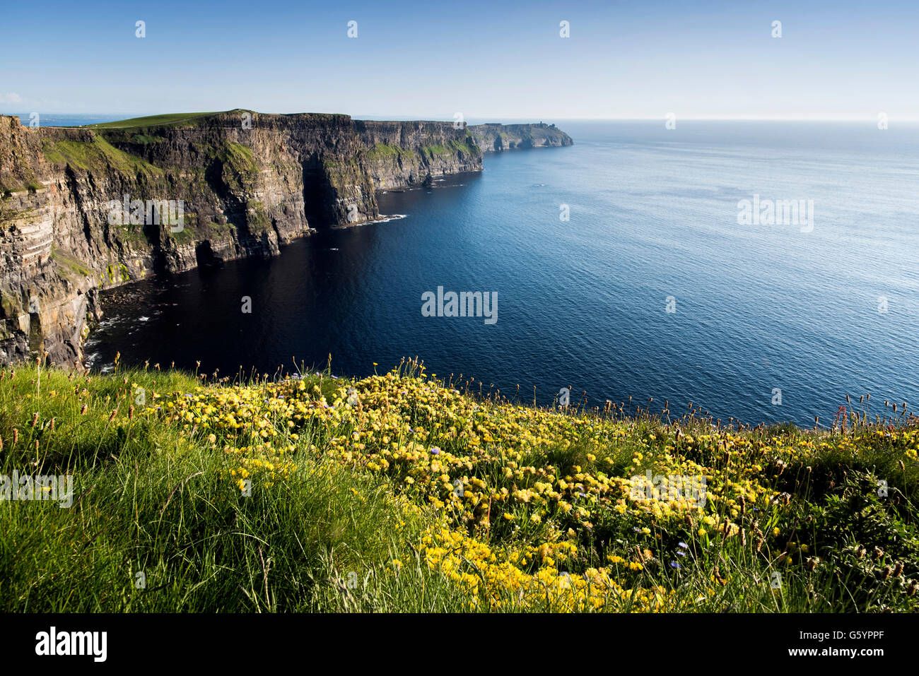 Scogliere di Moher Clare Irlanda Wild modo atlantico Foto Stock