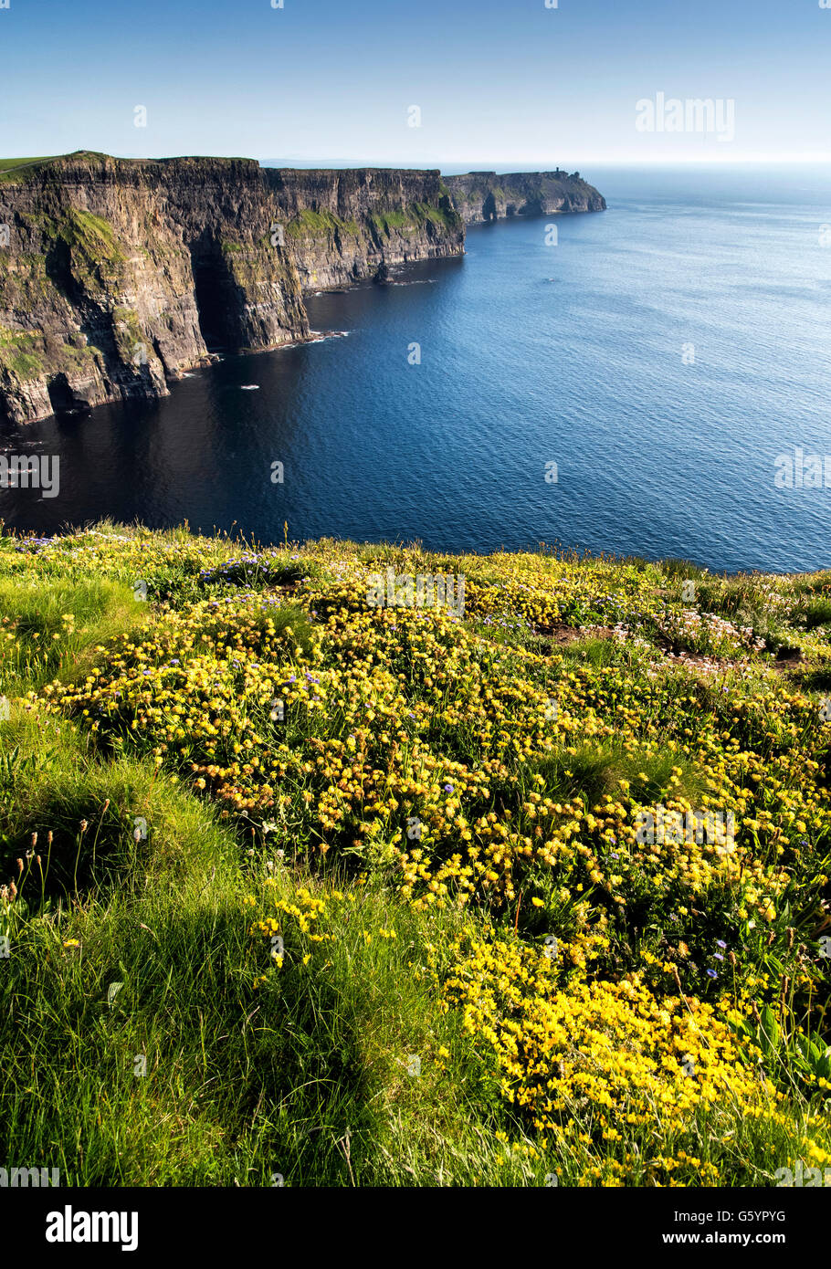Scogliere di Moher Clare Irlanda Wild modo atlantico Foto Stock