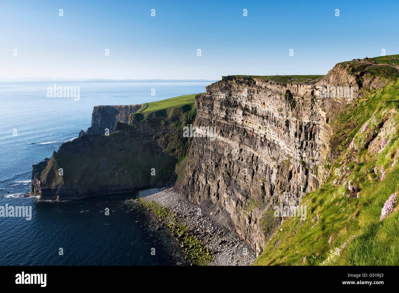 Scogliere di Moher Clare Irlanda Wild modo atlantico Foto Stock