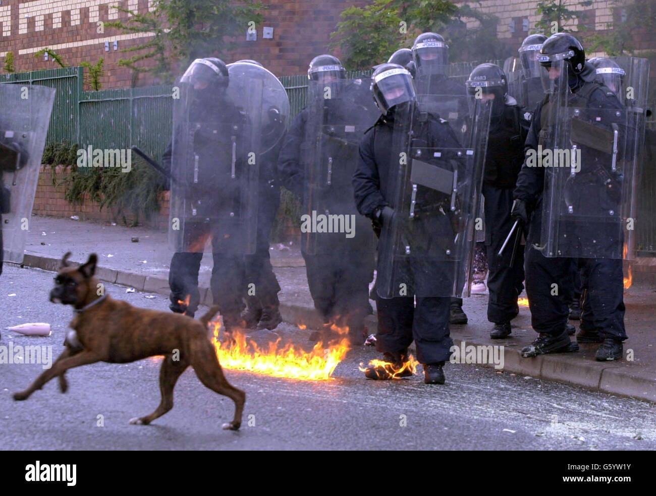 Ordine di Orange Parade protesta Foto Stock