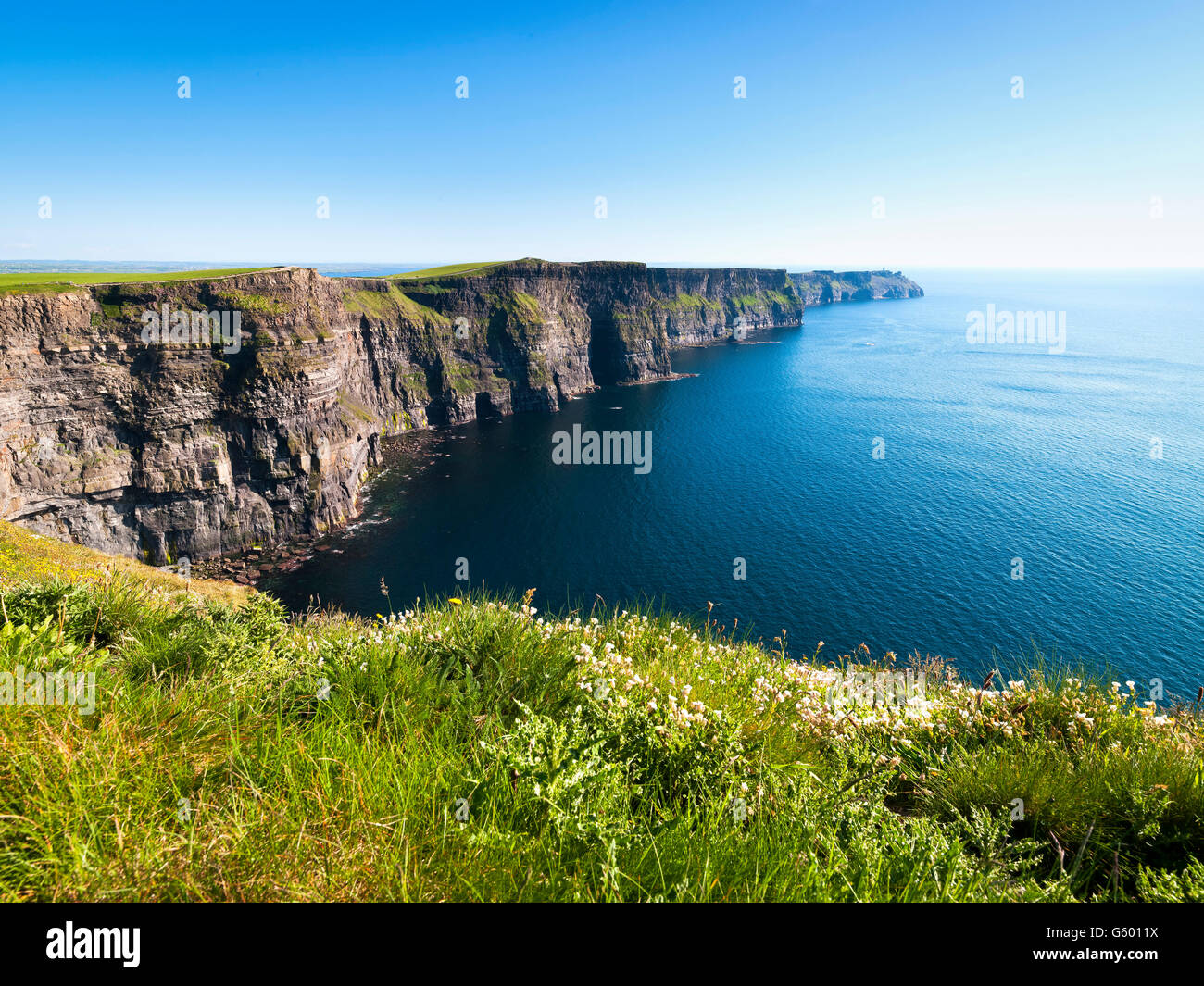 Scogliere di Moher Clare Irlanda Wild modo atlantico Foto Stock