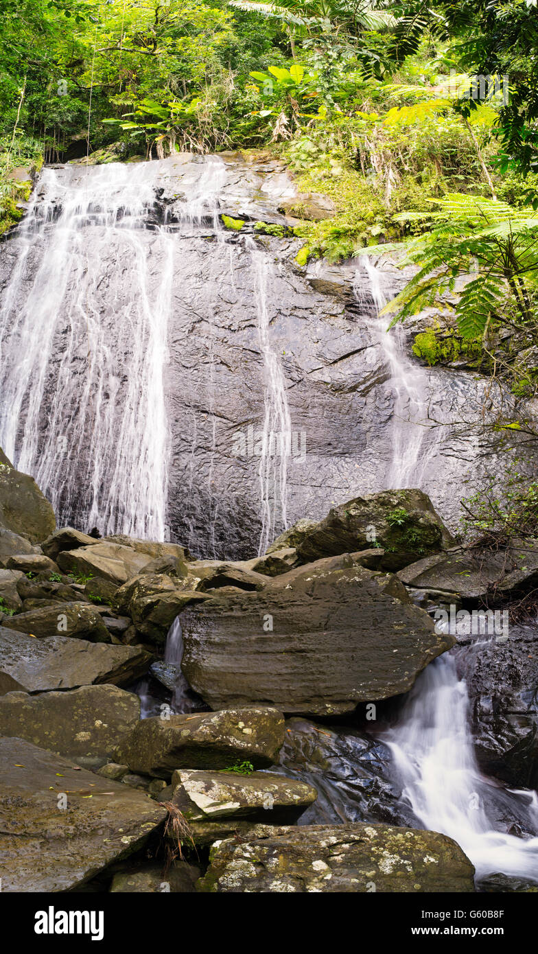 La Coca cade El Yunque National Forest, Puerto Rico. Foto Stock