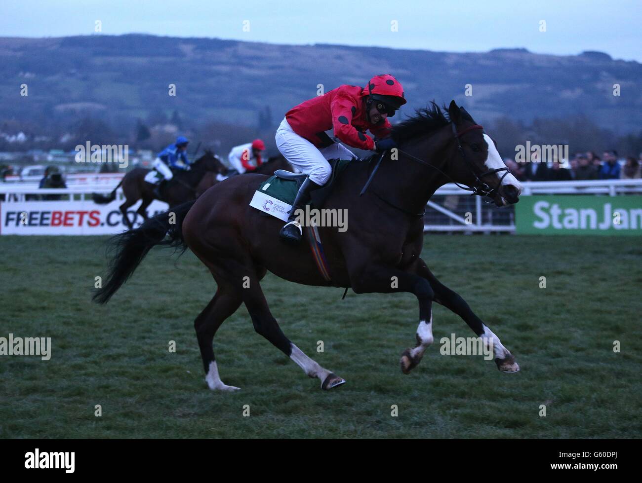 Corse di cavalli - 2013 Festival di Cheltenham - 3° giorno - Ippodromo di Cheltenham. Age of Glory guidato da Brian Bunyan sulla strada per vincere il St Patrick Day Derby, il giovedì di San Patrizio, durante il Cheltenham Festival. Foto Stock