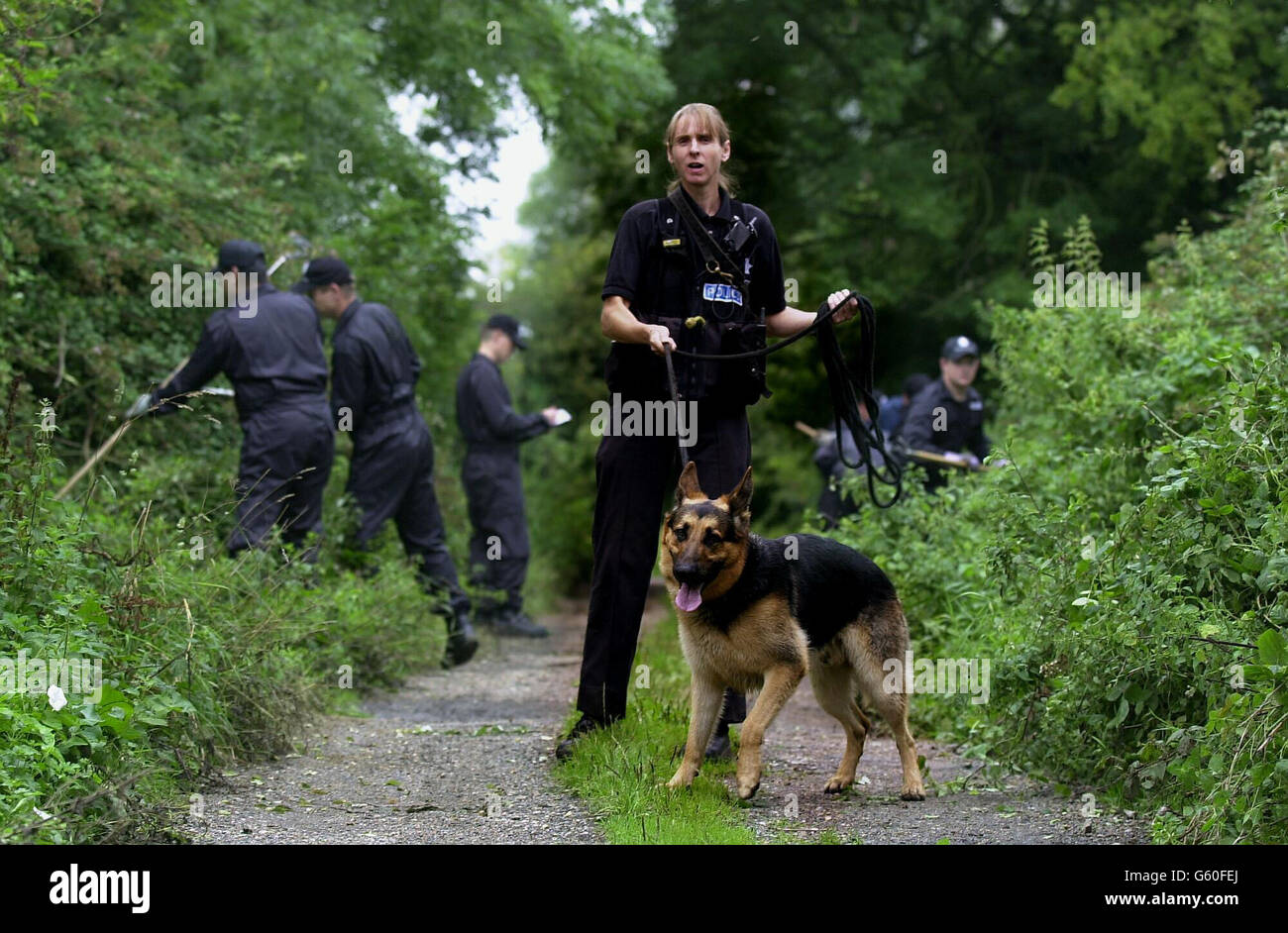 Cambridgeshire polizia ufficiali di ricerca boschi e comune dietro la casa di Jessica Chapman a Soham, Cambridgeshire. Jessica e il suo amico Holly Wells sono andati perduti la domenica sera, sparando una ricerca enorme. Foto Stock