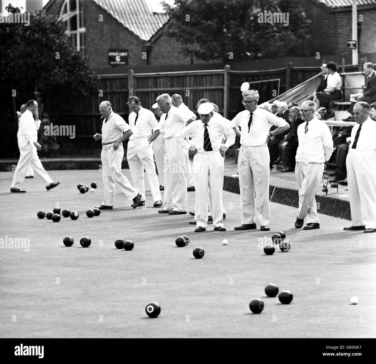 Gli occhi per il martinetto Foto Stock