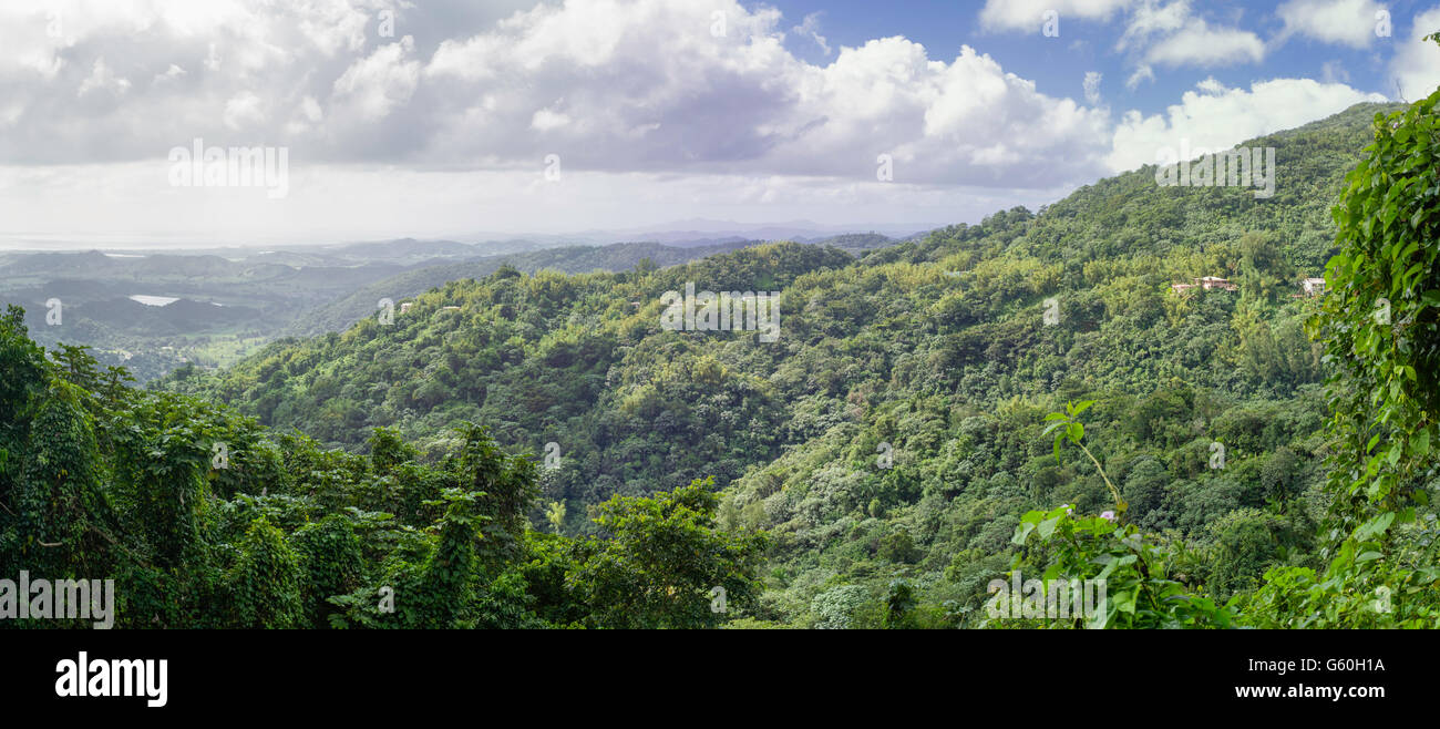 Vista panoramica di El Yunque National Forest, guardando a sud verso Naguabo, Puerto Rico. Foto Stock