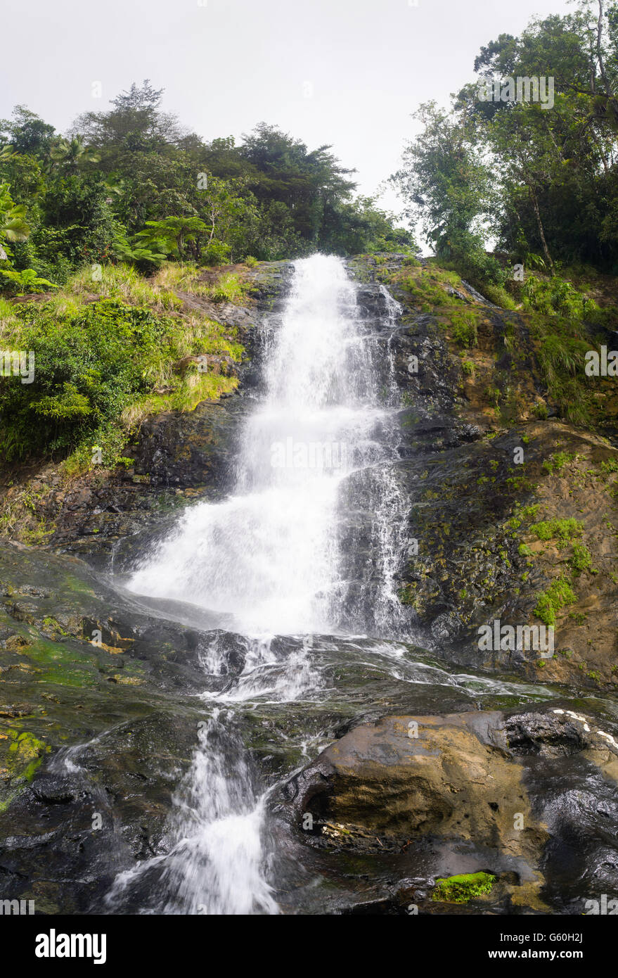 Los Prieto cade, El Yunque National Forest, a nord di Naguabo, Puerto Rico. Foto Stock