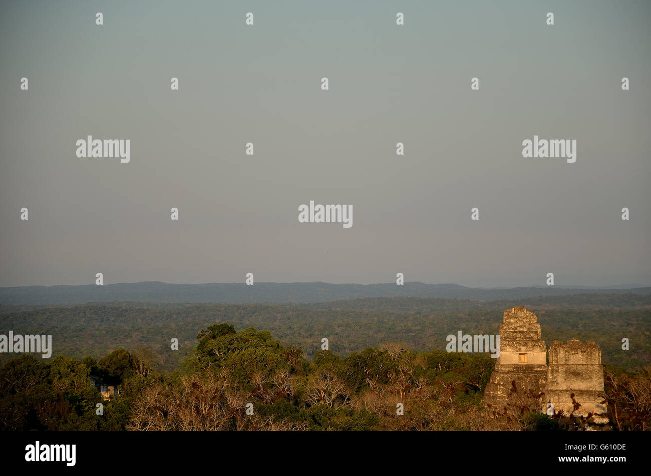 Vedere la vista di una piramide di tikal rovine maya in Petén, Guatema. Vista de piramide en las ruinas mayas de tikal. Foto Stock