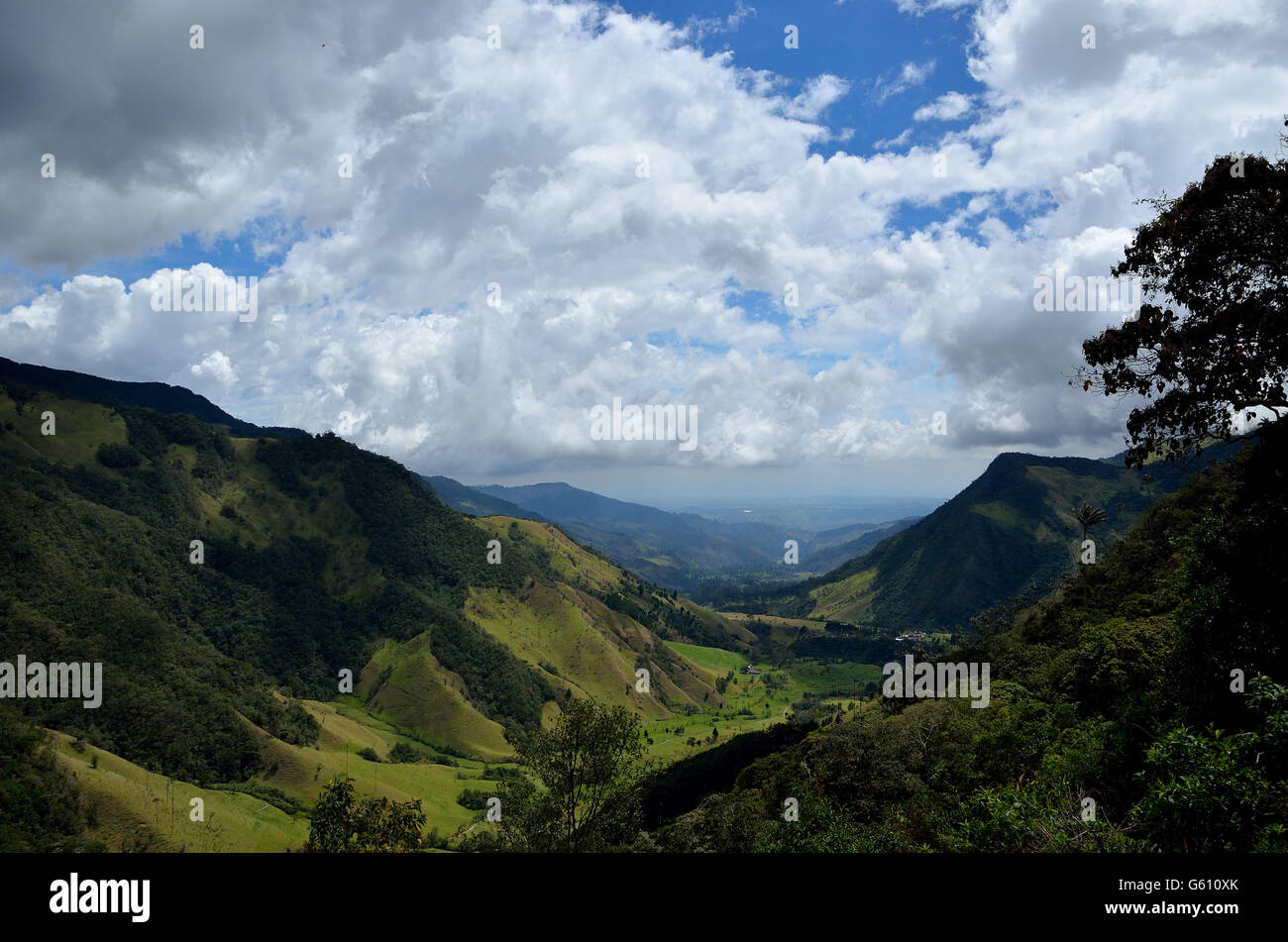 Sulla strada per la cordigliera andina in Ecuador. Por la carretera en la Cordillera de los Andes en Ecuador Foto Stock