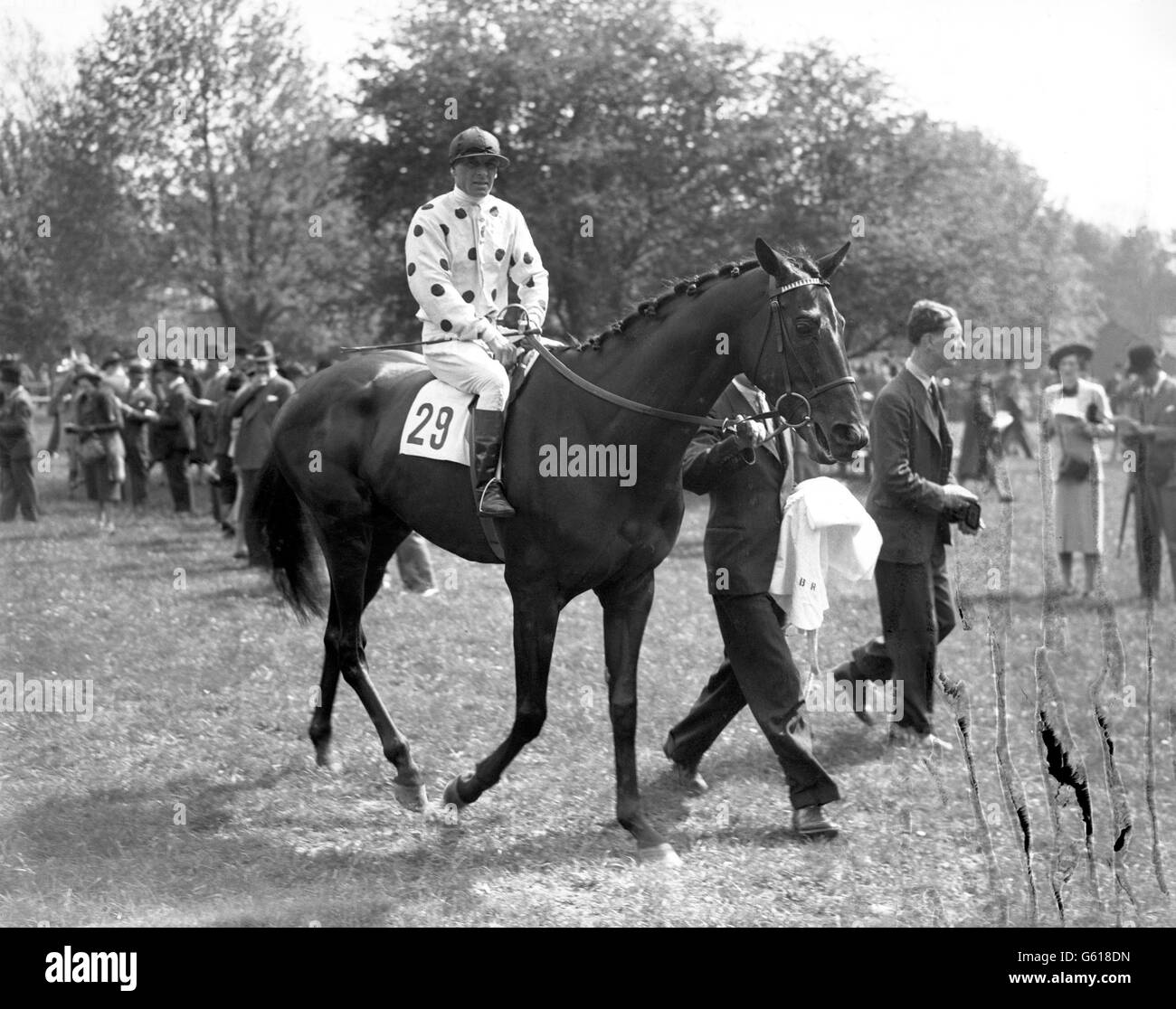 "Hypnotist", con Billy Nevett in su, dopo aver vinto il Derby Trial Stakes al Lingfield Park. Foto Stock