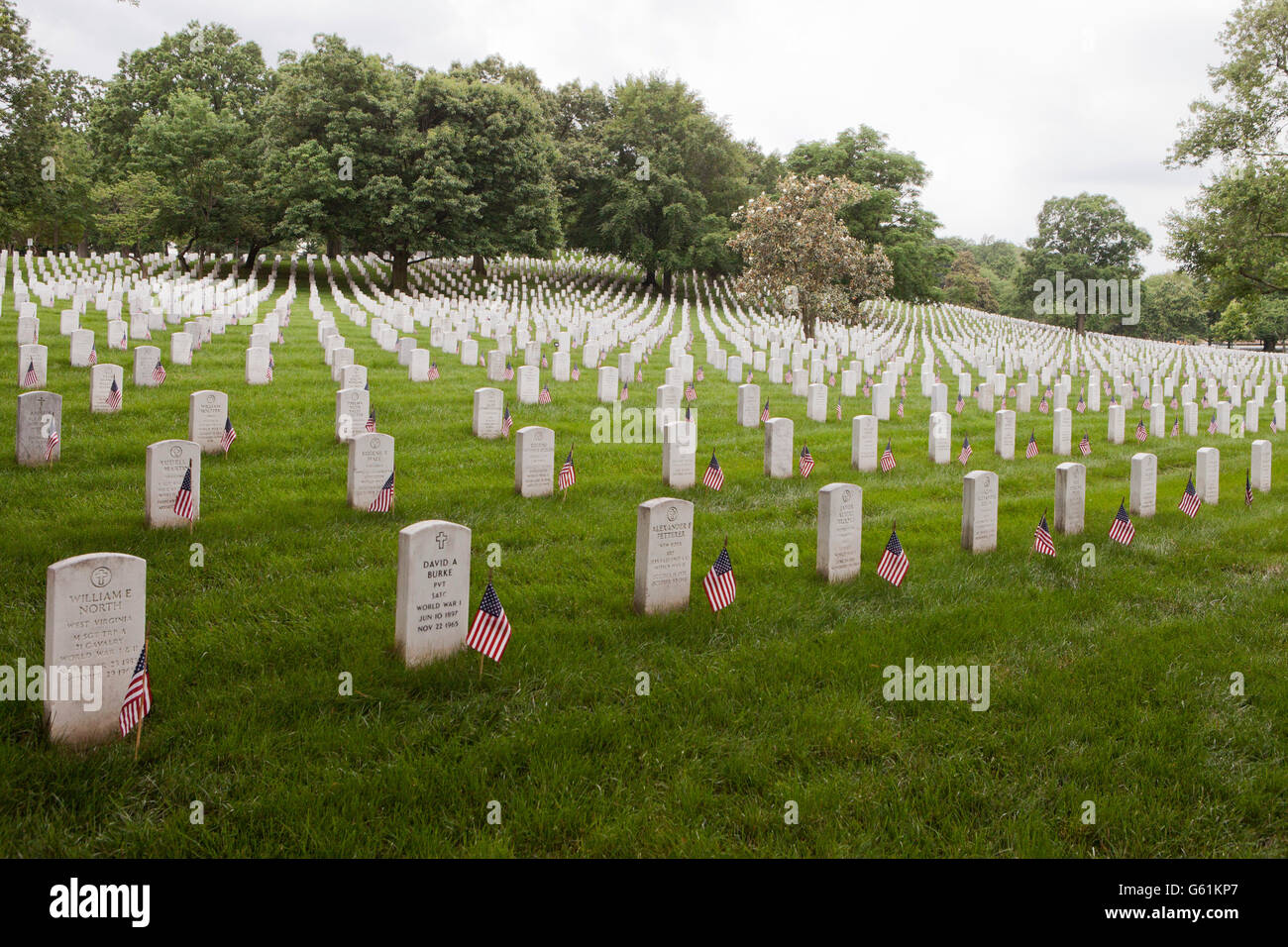 Arlington, Virginia, Stati Uniti d'America, Maggio 30th, 2016: "bandiere nell' presso il Cimitero Nazionale di Arlington. 2016 Foto Stock