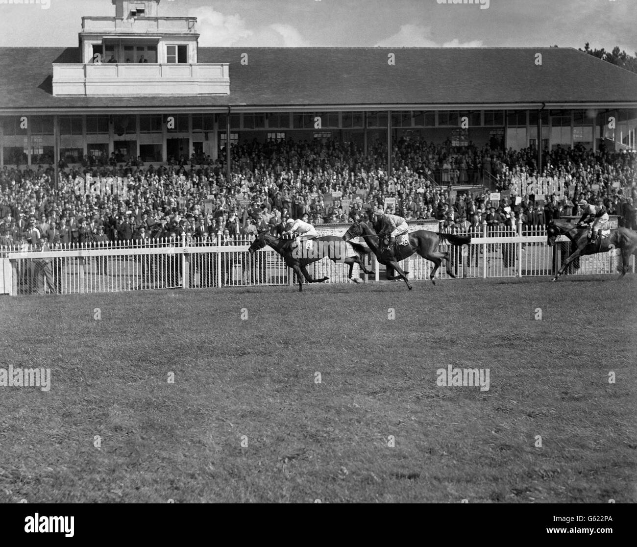 Horse Racing - tre ponti vendita piatto - Lingfield Park Racecourse. 'Highfield', con W. H. Carr in su, vincendo i tre ponti che vendono piatto da 'Culbertson', con G. Richards in su. Foto Stock