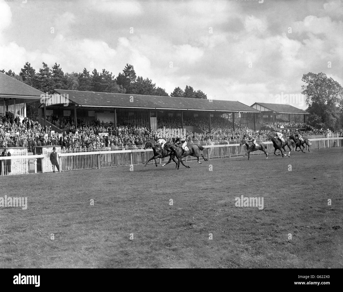 'Lancashire Lassie', con Lester Piggot in su, vincendo gli Hever Stakes da 'Oceana', con G. Richards in su. Foto Stock