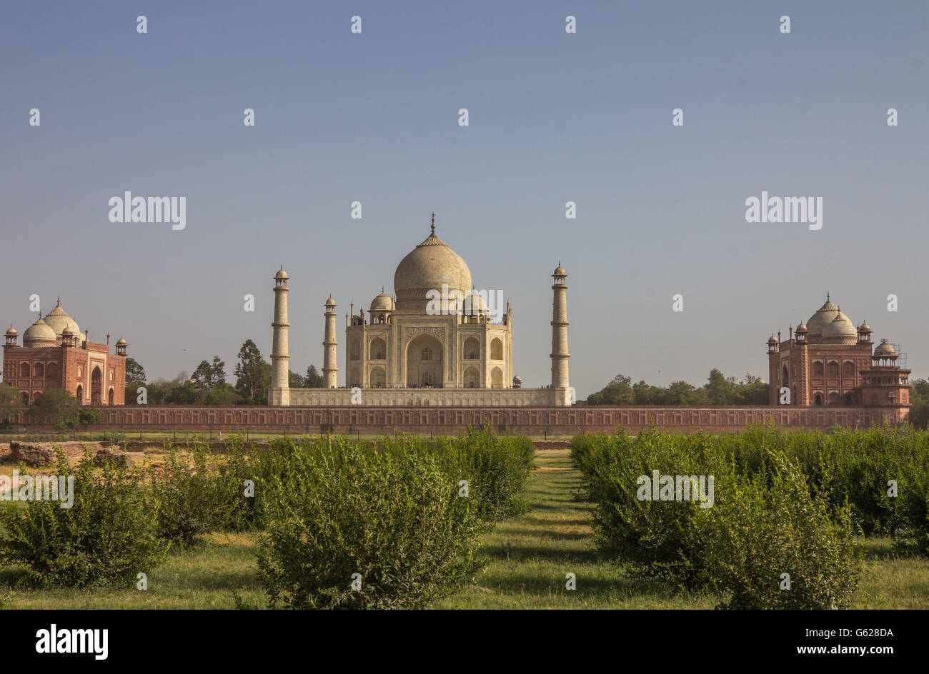Lato posteriore del Taj Mahal in Agra India Foto Stock