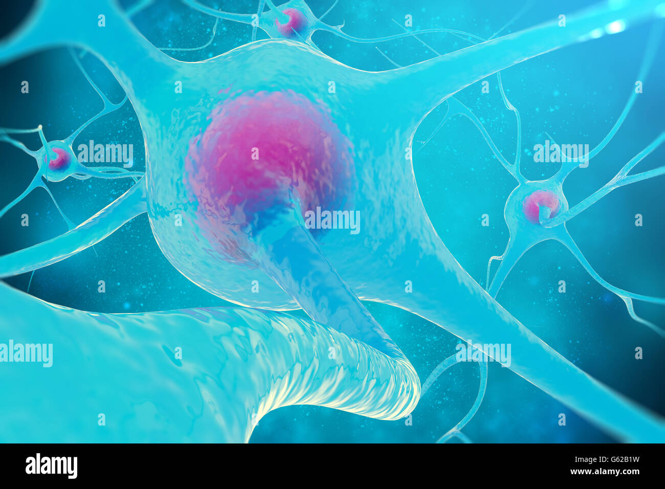 Rete neurale, cellule del cervello e del sistema nervoso. 3d illustrazione Foto Stock