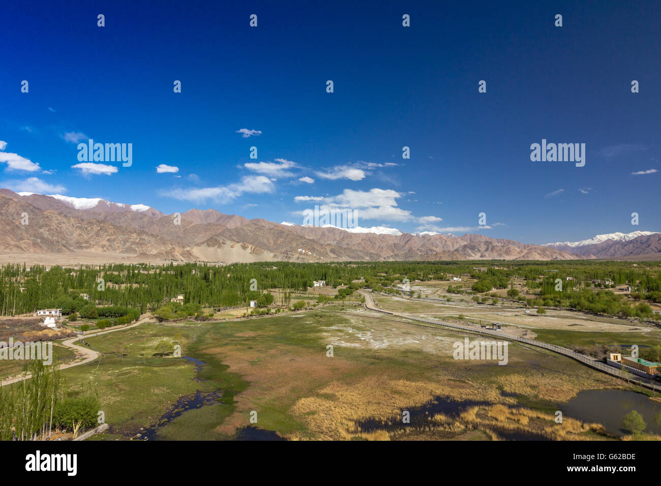 Valle fertile in Ladakh Kashmir Foto Stock