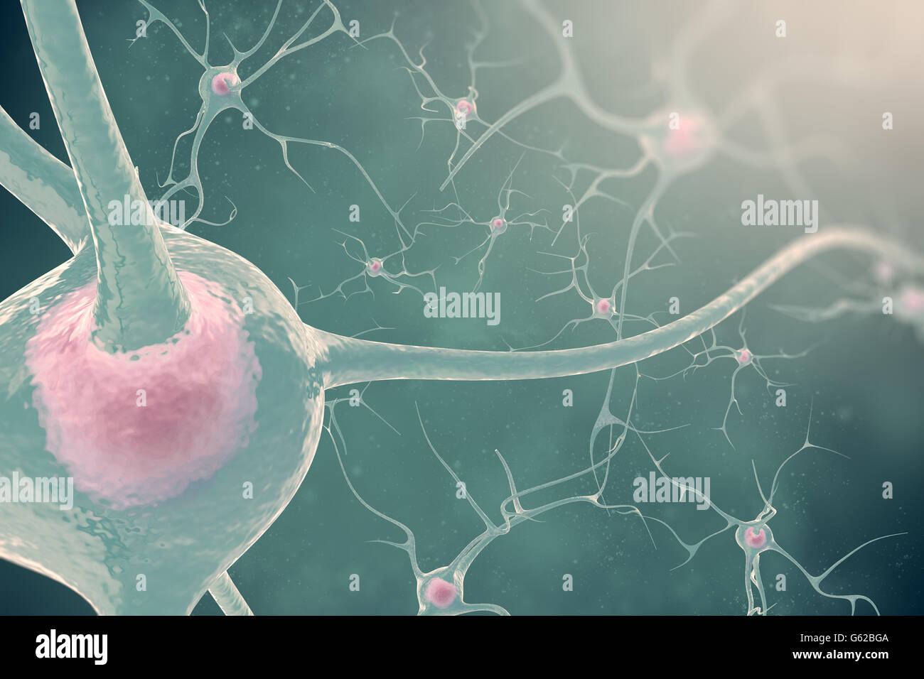 I neuroni del sistema nervoso con effetto sfocatura e luce. 3d'illustrazione delle cellule nervose Foto Stock