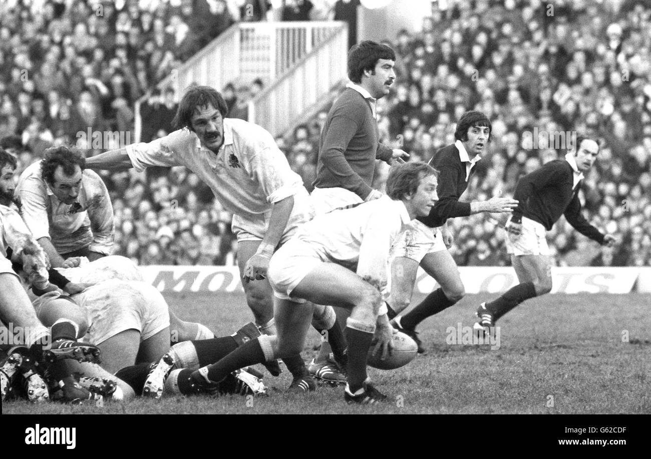 Inghilterra contro Scozia Rugby Union, la partita della Calcutta Cup a Twickenham, si è conclusa con un pareggio del 7-7. In questa foto uscendo dalla mischia (da sinistra a destra), il M.Rafter inglese: R.M.Utley (capitano): M.Young (palla): Arbitro C.Norling, e il capitano della Scozia I.R.McGeechan. Foto Stock
