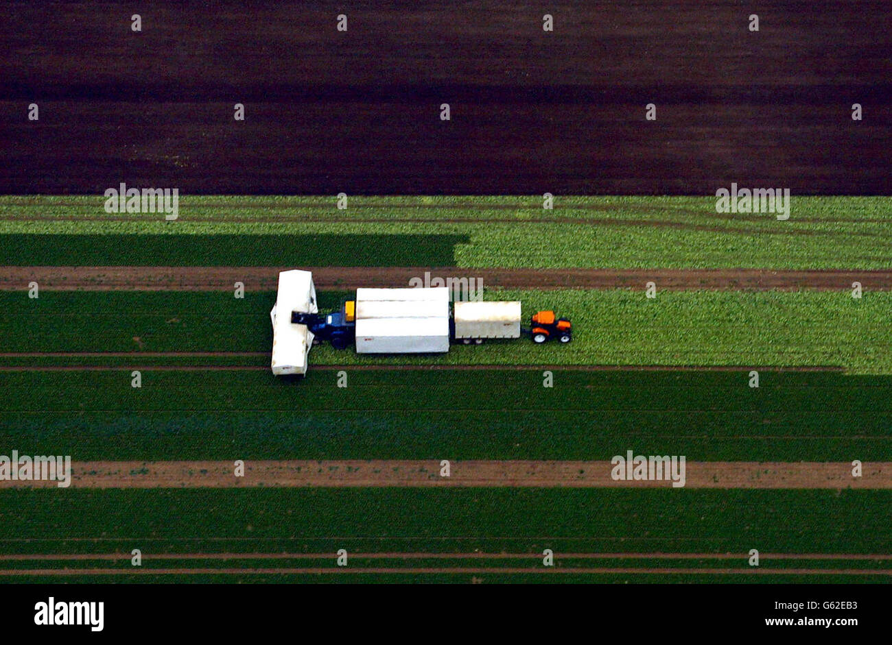 La coltivazione di crisi Foto Stock