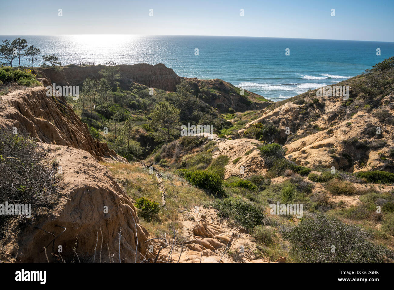 Punto di rasoio - Torrey Pines Sate Park, San Diego, CA Foto Stock