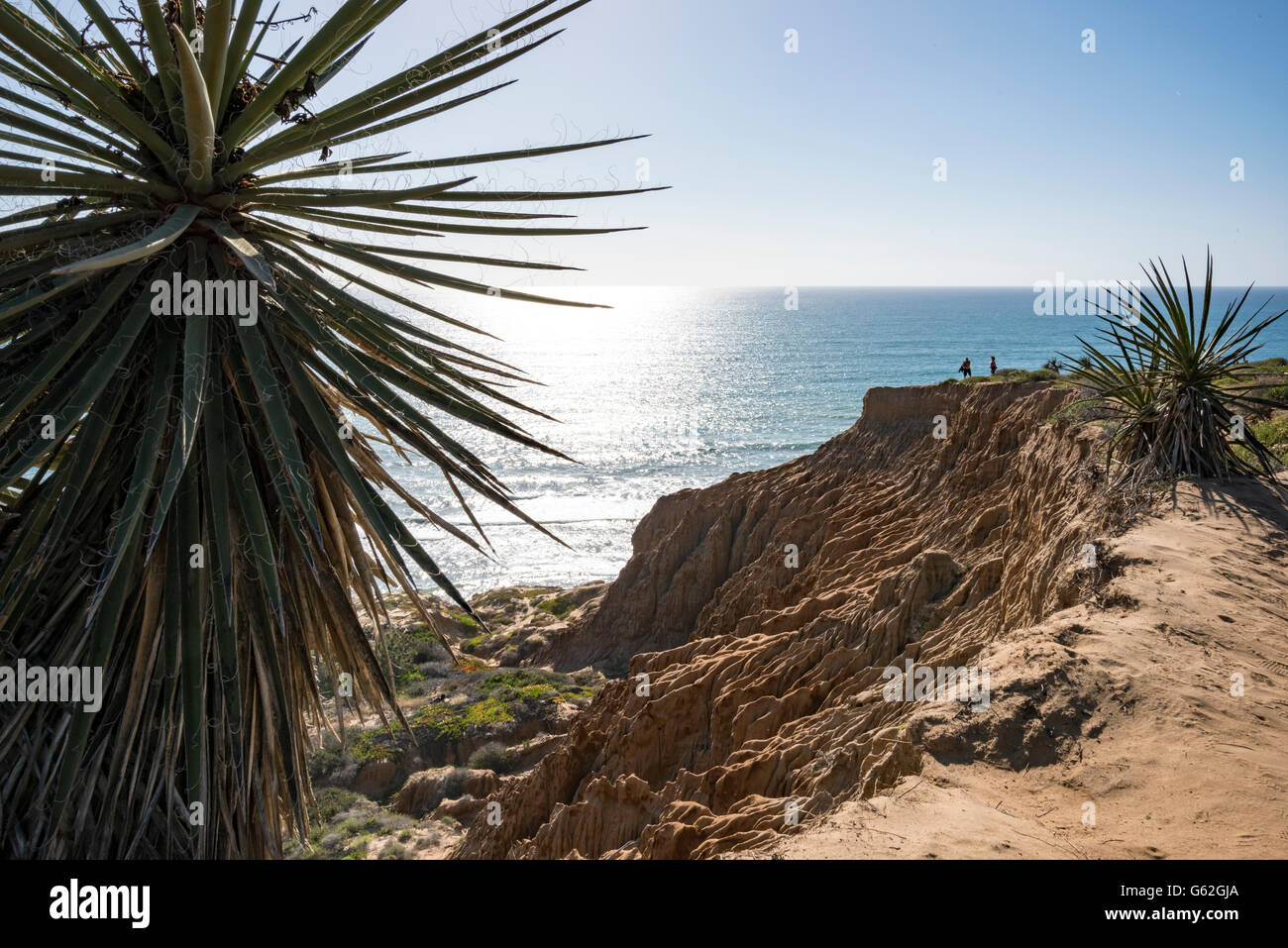 Punto di rasoio - Torrey Pines Sate Park, San Diego, CA Foto Stock