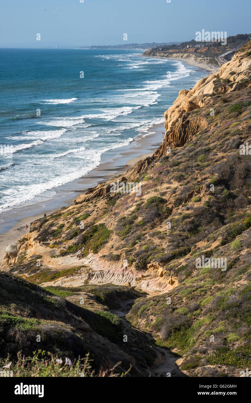Torrey Pines Sate Park, San Diego, CA Foto Stock