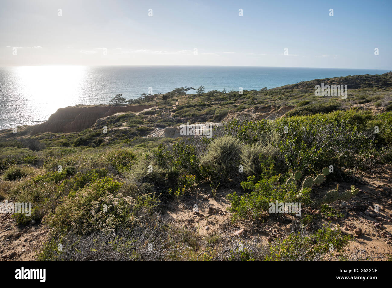 Torrey Pines Sate Park, San Diego, CA Foto Stock
