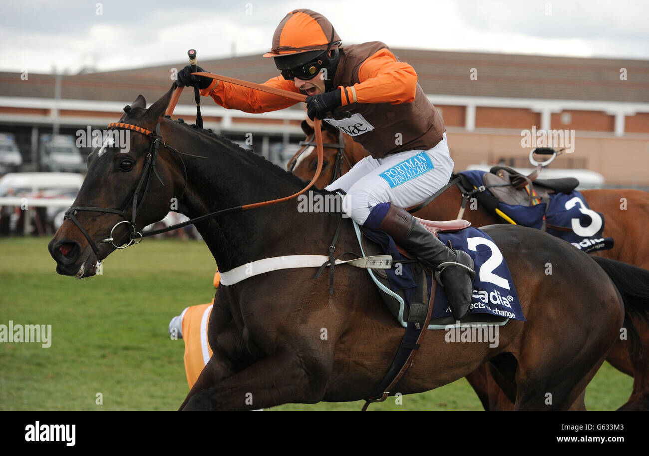 Horse Racing - 2013 Coral Scottish Grand National - Giorno 2 - Ayr Racecourse Foto Stock