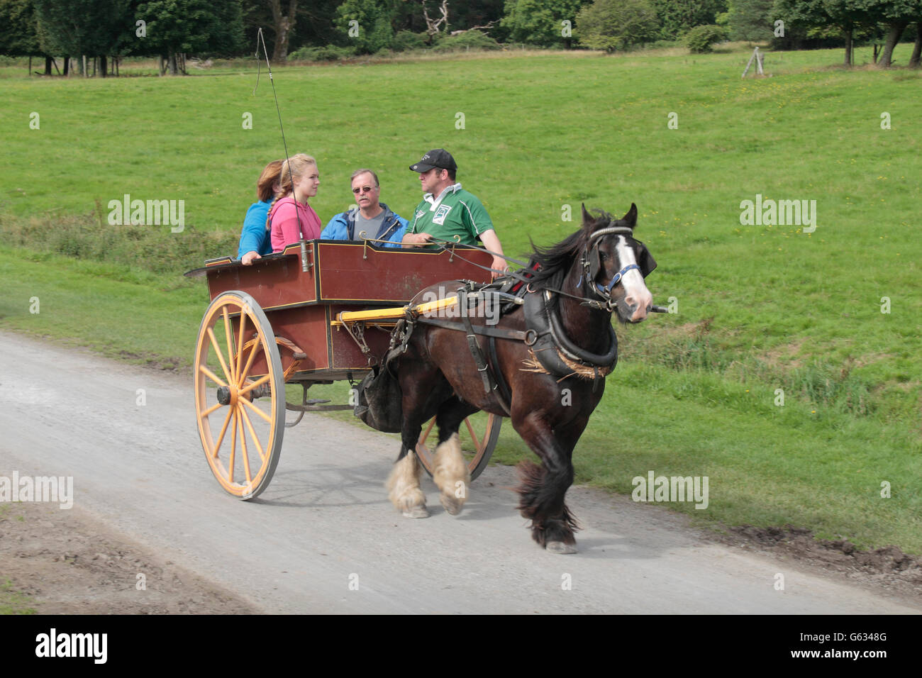 I turisti su un cavallo Trap ride (cavallo & trasporto) Muckross House, Killarney nella Contea di Kerry, Irlanda. Foto Stock