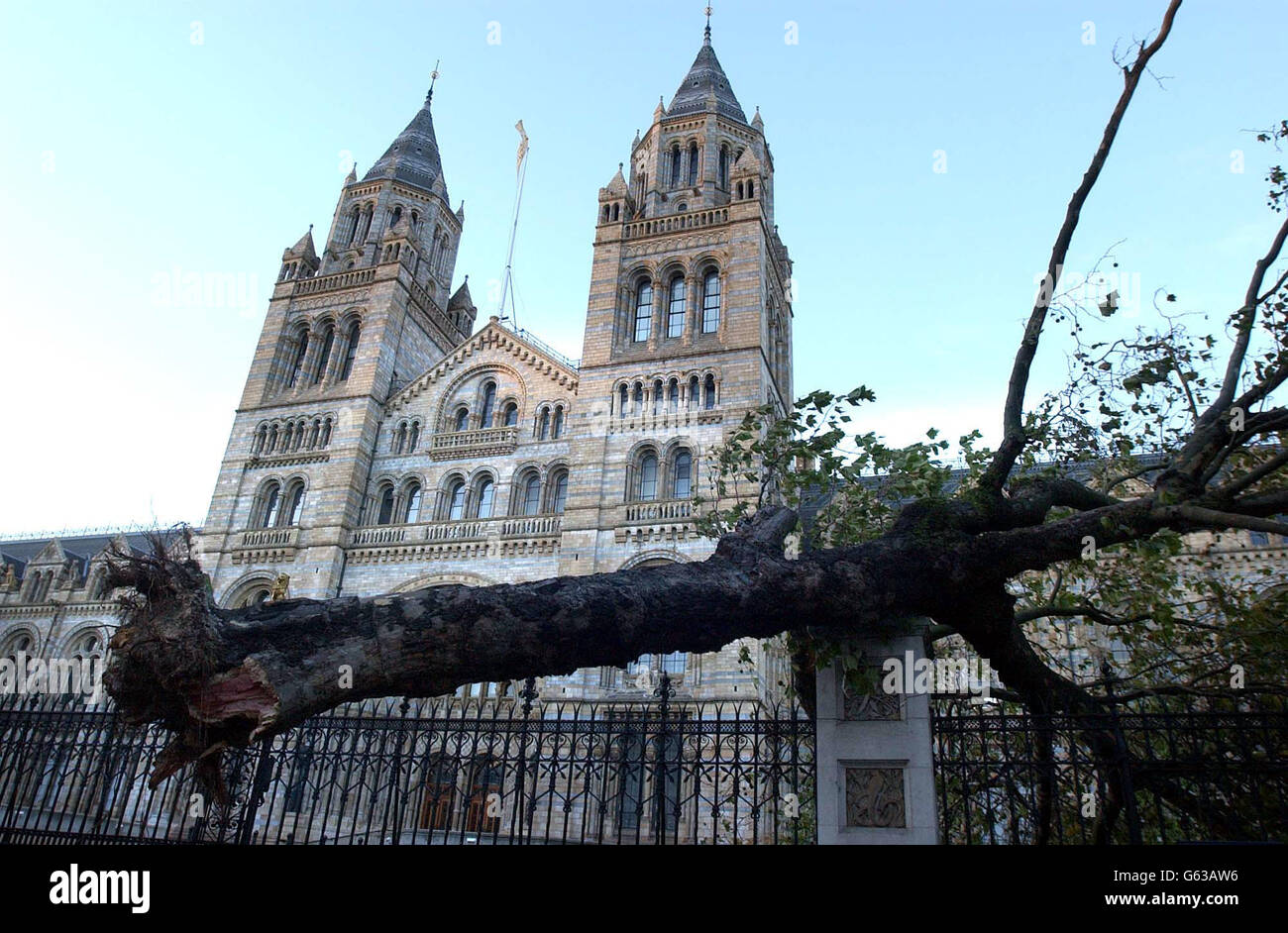 Un albero viene sradicato e soffiato su ringhiere fuori dal Natural History Museum di Londra da forti galere che hanno colpito molte aree della Gran Bretagna, con gli esperti che prevedono che il peggio deve ancora venire. * la velocità del vento più alta registrata era una raffica di 96,6 mph alle Mumbles, nel Galles del sud, a circa 7 del mattino, mentre altrove, raffiche di tra 60-70mph stavano causando danni ad alberi e tegole. In gran parte del sud della Gran Bretagna e del Galles si avvertivano velocità del vento comprese tra 40 e 60 mph. Foto Stock