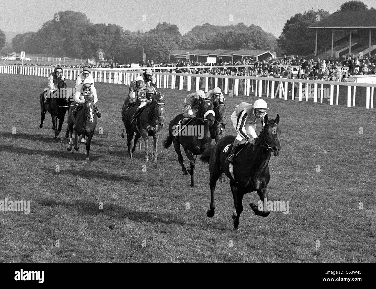 Lestor Piggot visto decisamente in testa e in procinto di vincere il duca di Edimburgo Stakes on Sea Pigeon (USA). Secondo è stato Pitskelly (appena dietro con il noseband) guidato da W Williamson, terzo è stato Forsetti (USA), accanto alla sinistra, guidato da C Roche. Foto Stock