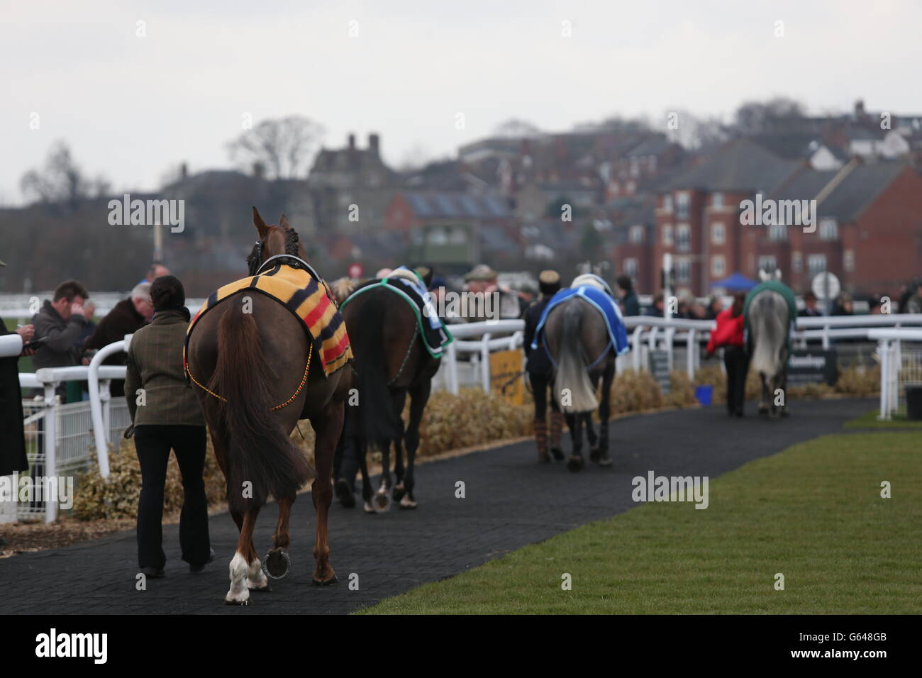 I cavalli sono sfilati nell'anello prima dell'inizio di Il MHM pianta Maiden hurdle Foto Stock