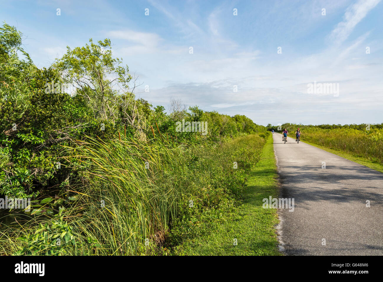 Florida Everglades National Park, Shark Valley, ciclisti Foto Stock