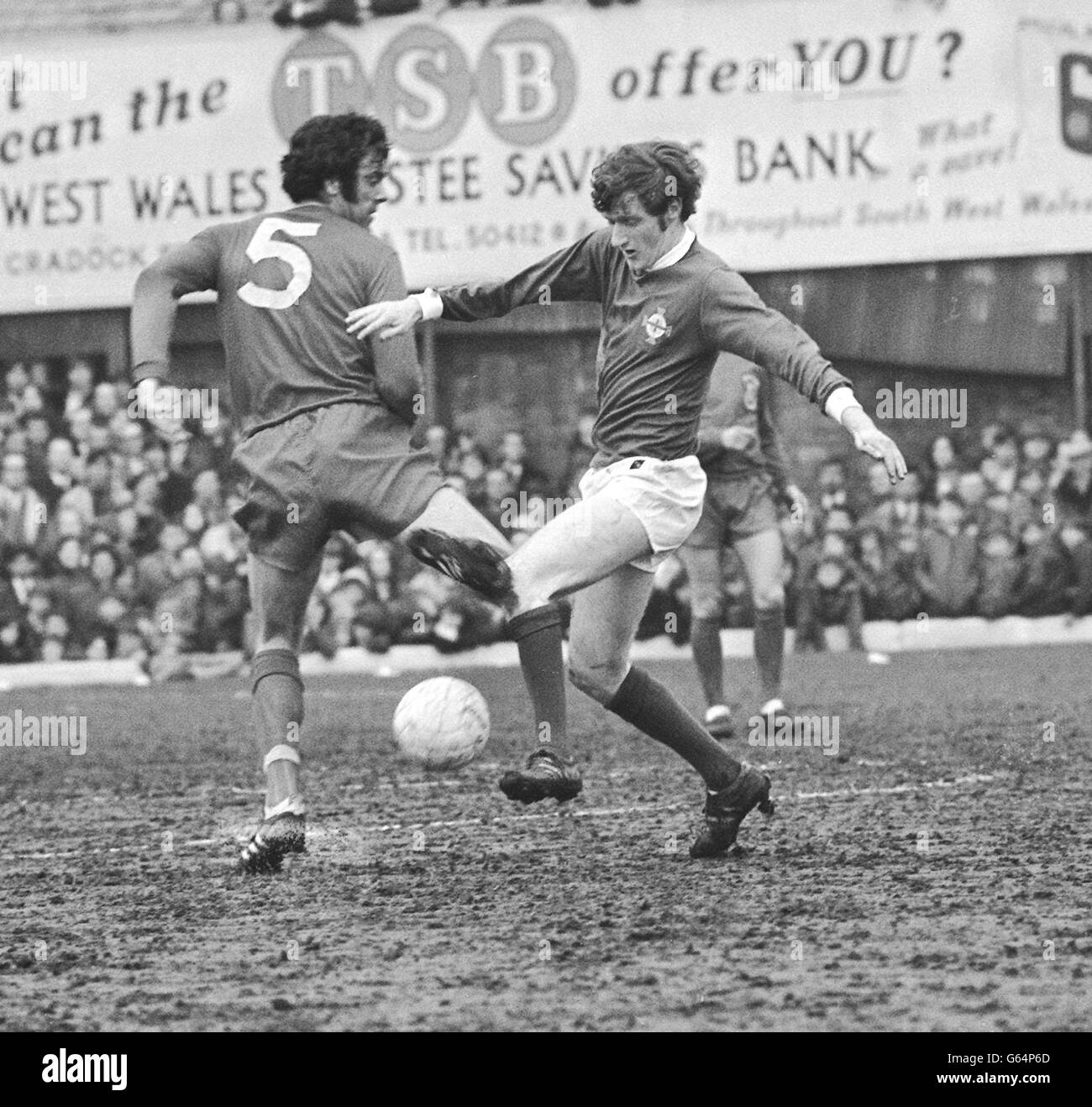 Il Galles v Irlanda del Nord a Swansea. Foto Stock