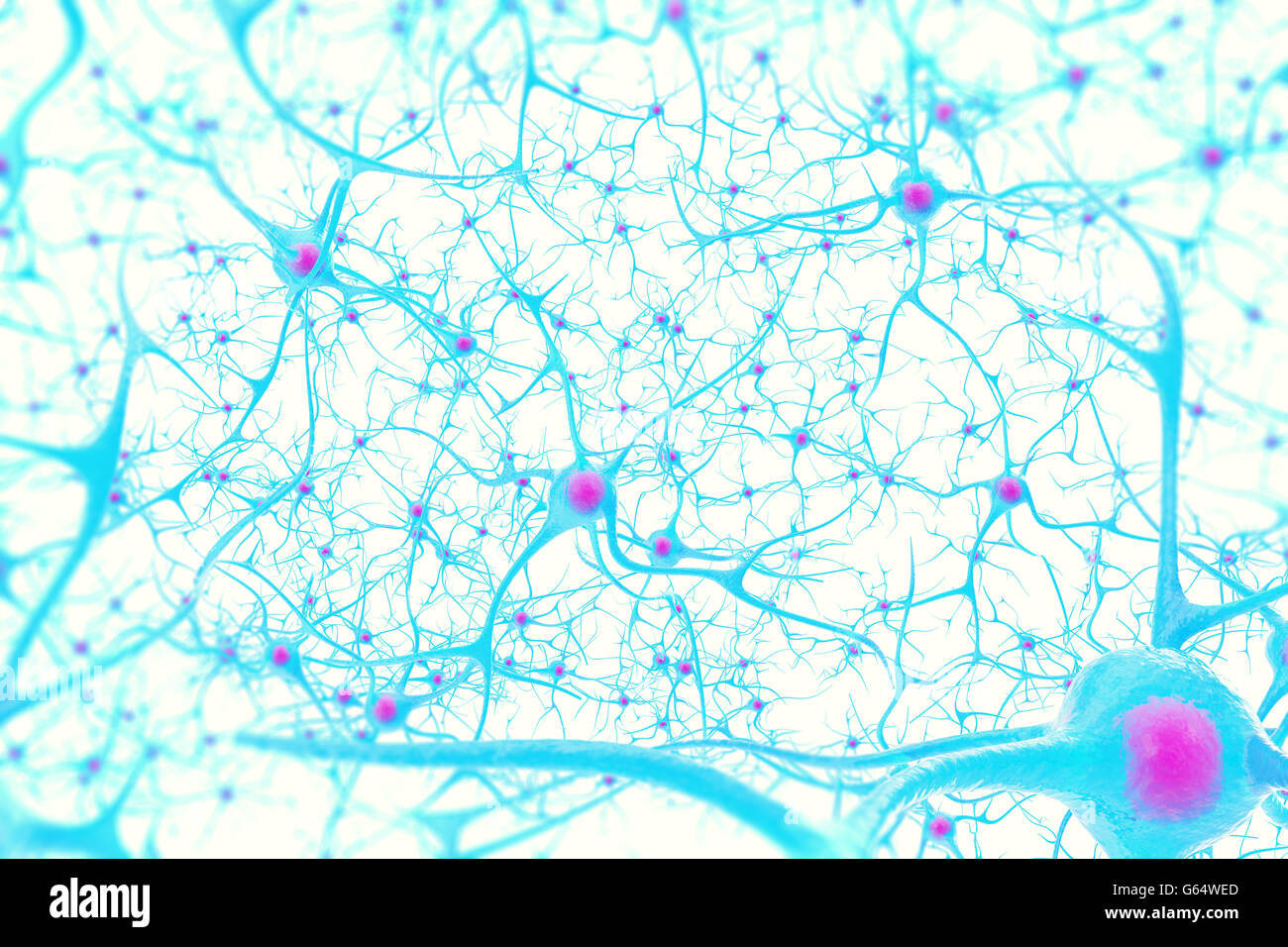 I neuroni nel cervello su sfondo bianco con effetto di messa a fuoco 3d illustrazione Foto Stock