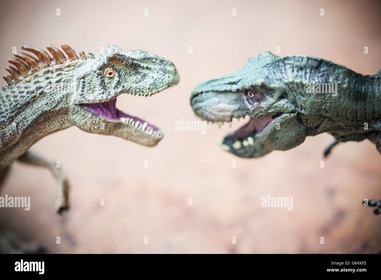 Tyrannosaurus e allosaurus giocattolo sul rock Foto Stock