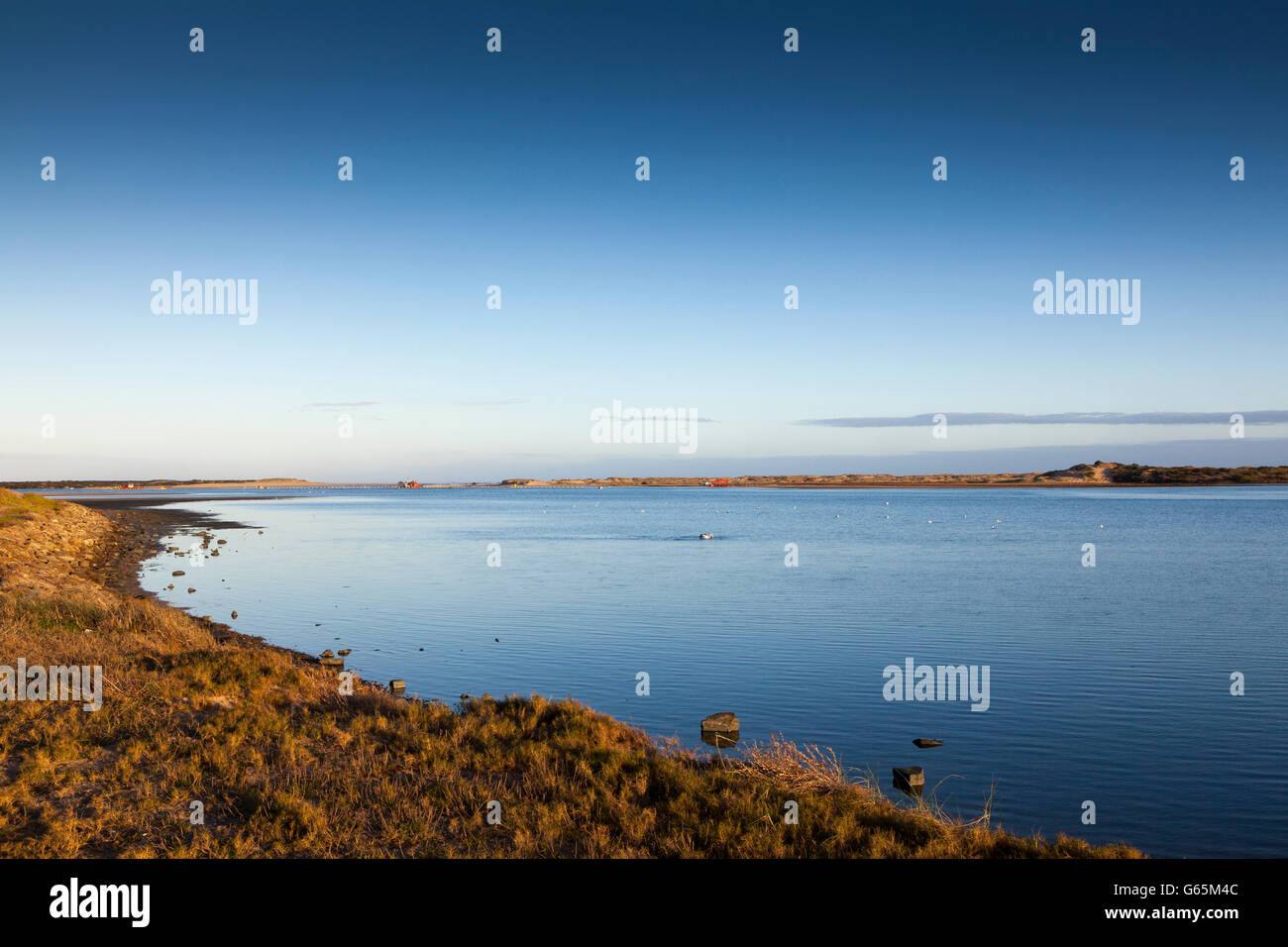 Guardando in giù il fiume Murray verso la foce del fiume, Hindmarsh Island, in Sud Australia Foto Stock