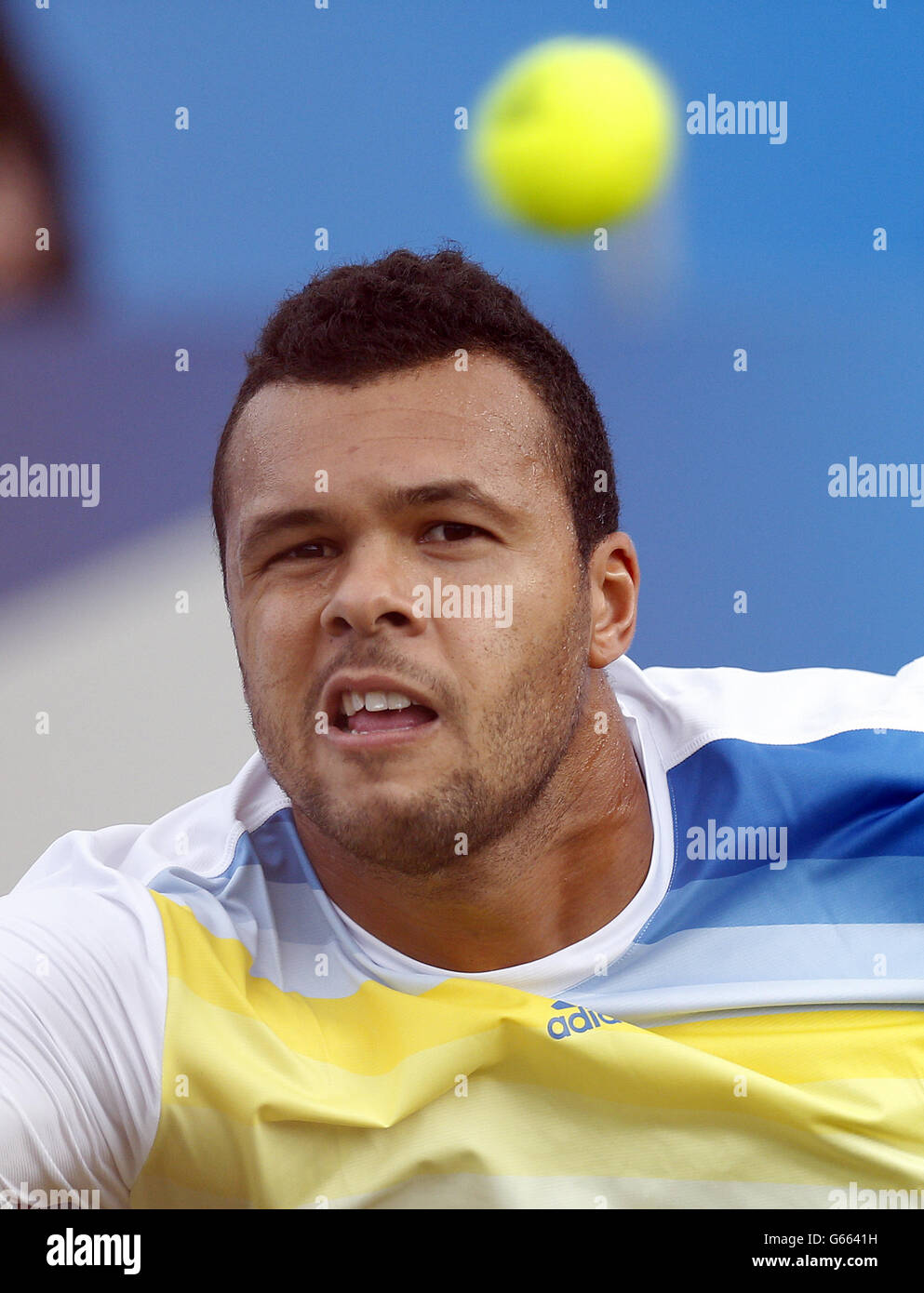 Jo-Wilfried Tsonga durante la sua partita semifinale contro Andy Murray ai Campionati AEGON al Queen's Club di Londra. PREMERE ASSOCIAZIONE foto. Data immagine: Sabato 15 giugno 2013. Guarda la storia del PA TENNIS Queen's. Il credito fotografico dovrebbe essere: Jonathan Brady/PA Wire Foto Stock