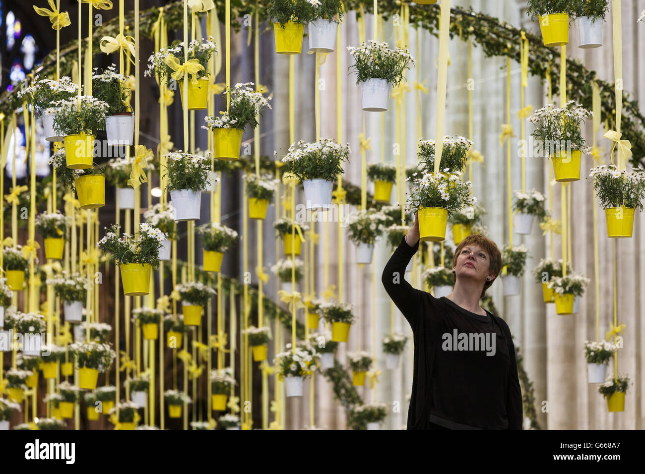 Angela Turner, Direttore creativo dell'Associazione Nazionale delle Società di arrangiamento dei Fiori per l'Area di Wessex e Jersey, effettua controlli last minute nella navata della Cattedrale di Winchester in Hampshire, dove il Festival della Sinfonia dei Fiori inizierà domani fino al 16 giugno 2013. Foto Stock