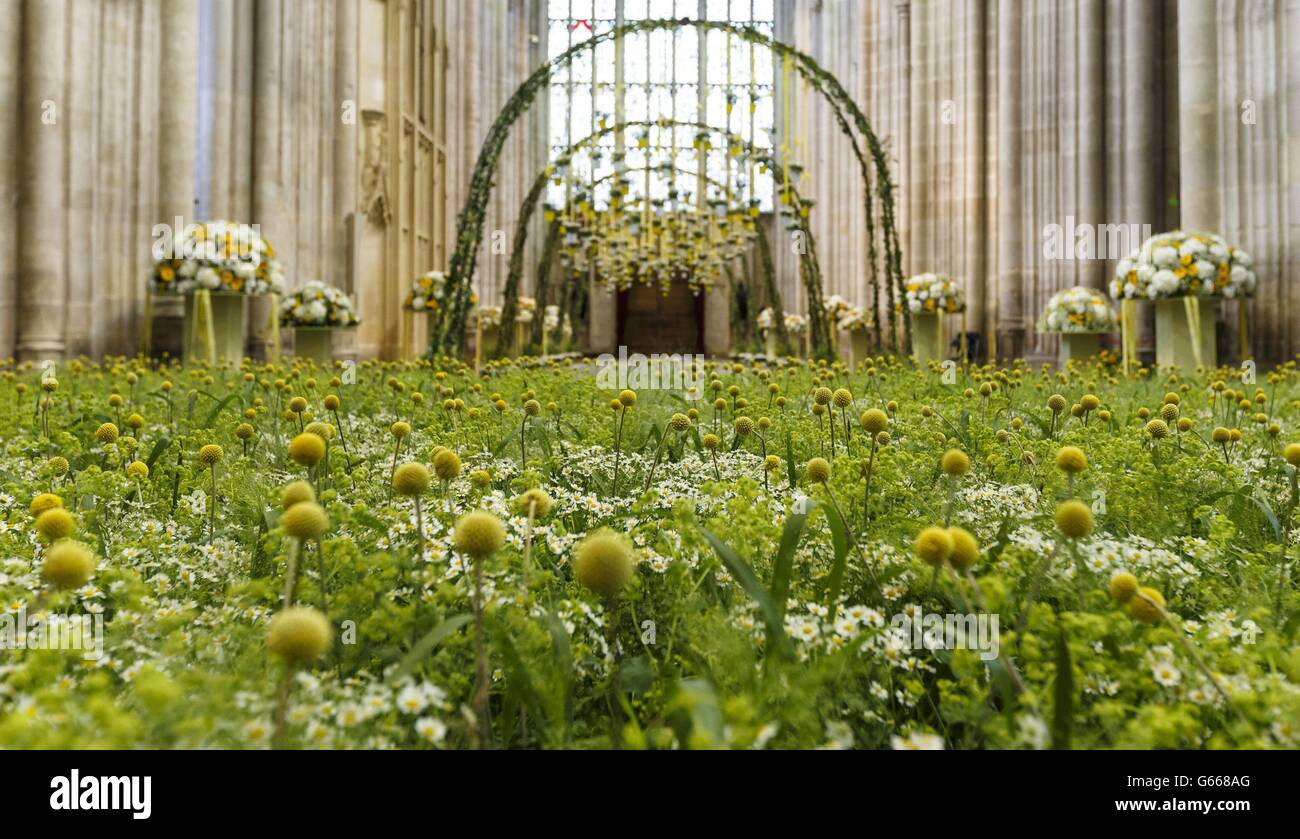 Un prato riempie la navata centrale della Cattedrale di Winchester nell'Hampshire, dove la Symphony of Flowers Festival inizierà domani fino al 16 giugno 2013. Foto Stock